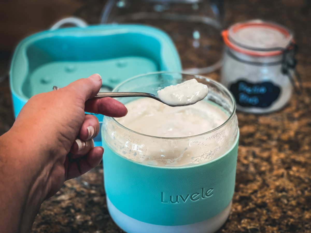 What is a Viili Yogurt? Your Guide to This Unique Culture