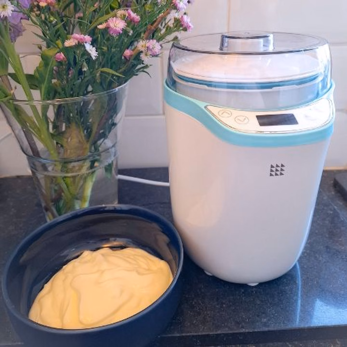 Thermophilic vs Mesophilic Culture: Your Guide to Perfect Yogurt
